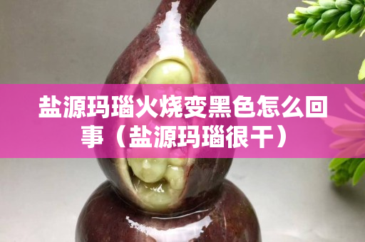 盐源玛瑙火烧变黑色怎么回事（盐源玛瑙很干）