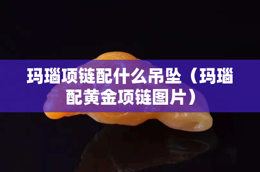玛瑙项链配什么吊坠（玛瑙配黄金项链图片）