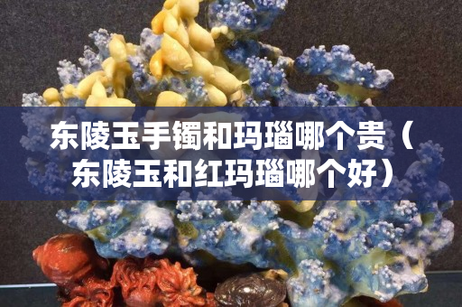 东陵玉手镯和玛瑙哪个贵（东陵玉和红玛瑙哪个好）