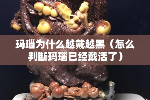 玛瑙为什么越戴越黑（怎么判断玛瑙已经戴活了）