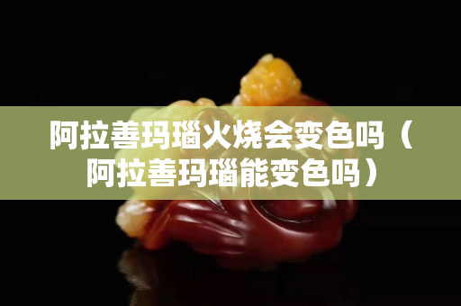 阿拉善玛瑙火烧会变色吗（阿拉善玛瑙能变色吗）