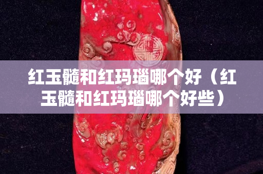 红玉髓和红玛瑙哪个好（红玉髓和红玛瑙哪个好些）