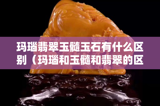 玛瑙翡翠玉髓玉石有什么区别（玛瑙和玉髓和翡翠的区别）