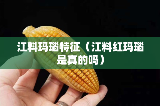 江料玛瑙特征（江料红玛瑙是真的吗）