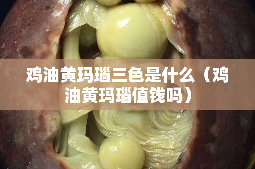 鸡油黄玛瑙三色是什么（鸡油黄玛瑙值钱吗）