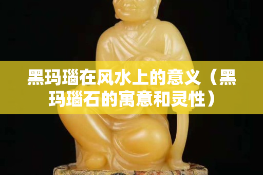 黑玛瑙在风水上的意义（黑玛瑙石的寓意和灵性）