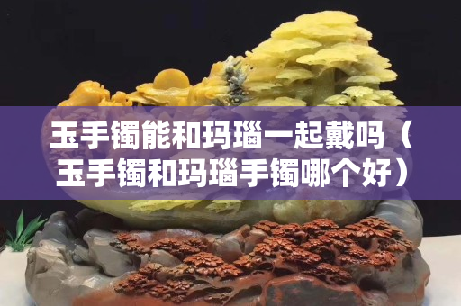 玉手镯能和玛瑙一起戴吗（玉手镯和玛瑙手镯哪个好）