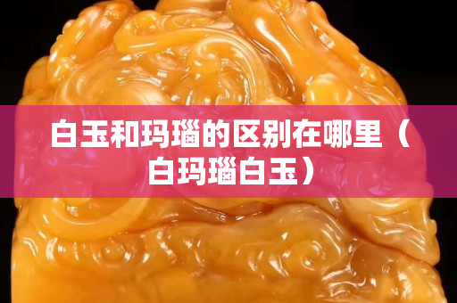白玉和玛瑙的区别在哪里（白玛瑙白玉）