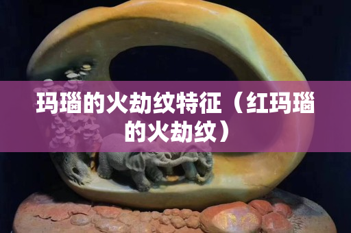 玛瑙的火劫纹特征（红玛瑙的火劫纹）