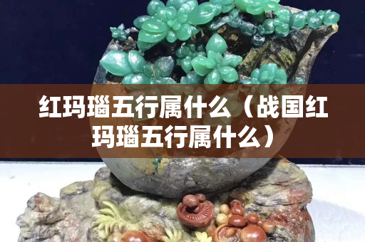 红玛瑙五行属什么（战国红玛瑙五行属什么）