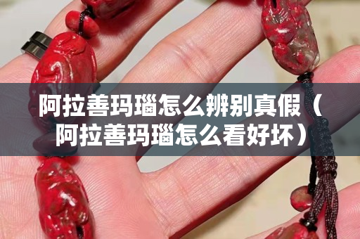 阿拉善玛瑙怎么辨别真假（阿拉善玛瑙怎么看好坏）