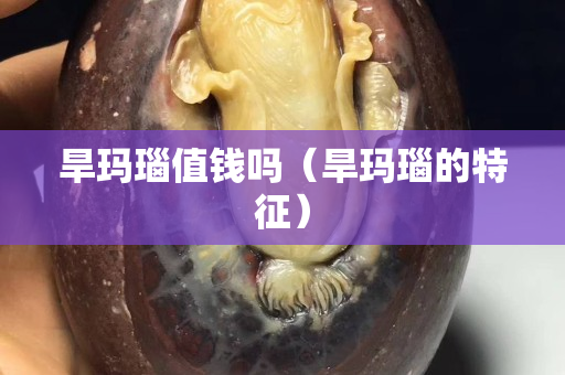 旱玛瑙值钱吗（旱玛瑙的特征）