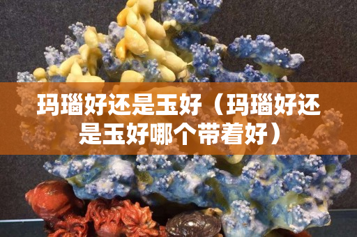 玛瑙好还是玉好（玛瑙好还是玉好哪个带着好）