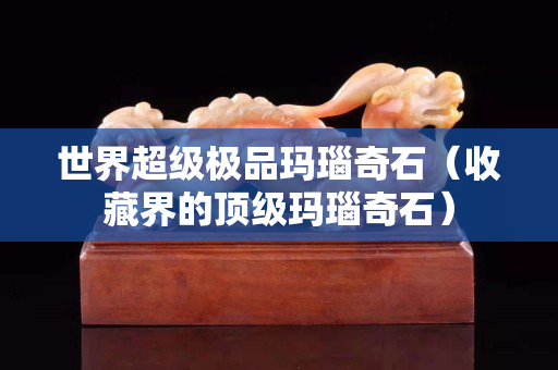 世界超级极品玛瑙奇石（收藏界的顶级玛瑙奇石）