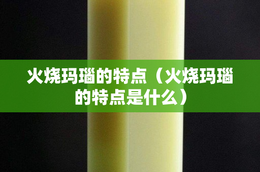 火烧玛瑙的特点（火烧玛瑙的特点是什么）