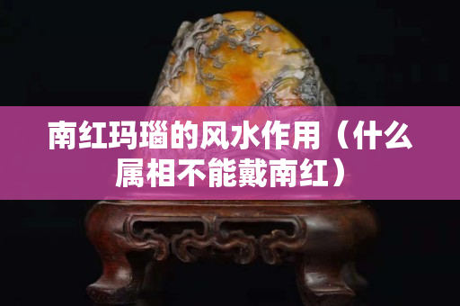 南红玛瑙的风水作用（什么属相不能戴南红）