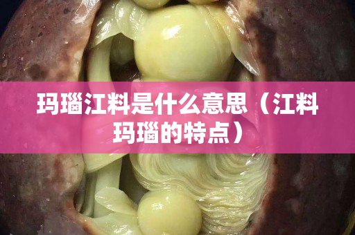 玛瑙江料是什么意思（江料玛瑙的特点）