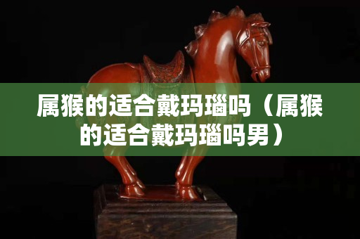 属猴的适合戴玛瑙吗（属猴的适合戴玛瑙吗男）
