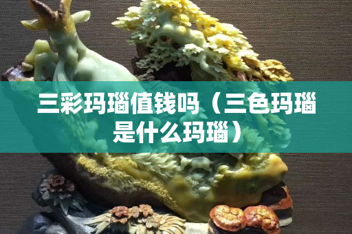 三彩玛瑙值钱吗（三色玛瑙是什么玛瑙）