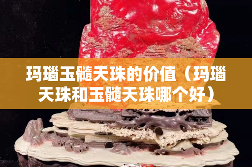 玛瑙玉髓天珠的价值（玛瑙天珠和玉髓天珠哪个好）