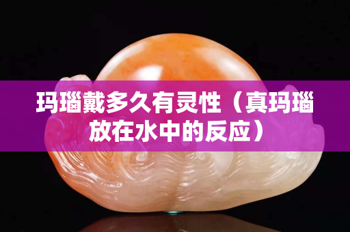 玛瑙戴多久有灵性（真玛瑙放在水中的反应）