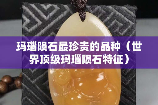 玛瑙陨石最珍贵的品种（世界顶级玛瑙陨石特征）