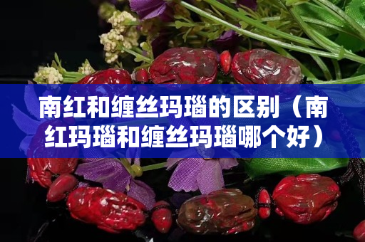 南红和缠丝玛瑙的区别（南红玛瑙和缠丝玛瑙哪个好）