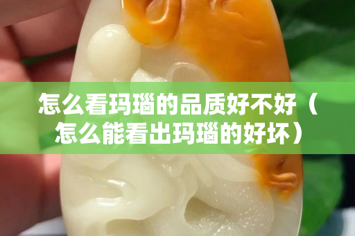 怎么看玛瑙的品质好不好（怎么能看出玛瑙的好坏）