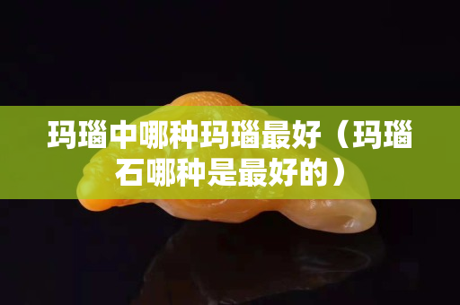 玛瑙中哪种玛瑙最好（玛瑙石哪种是最好的）