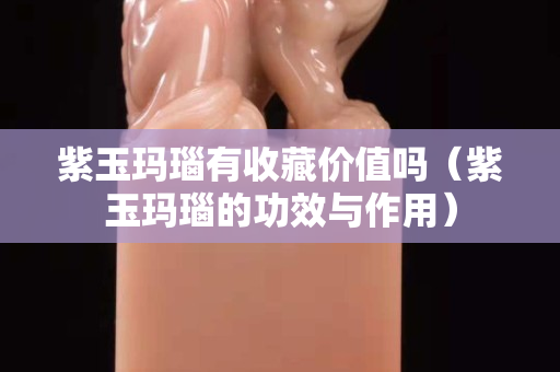 紫玉玛瑙有收藏价值吗（紫玉玛瑙的功效与作用）