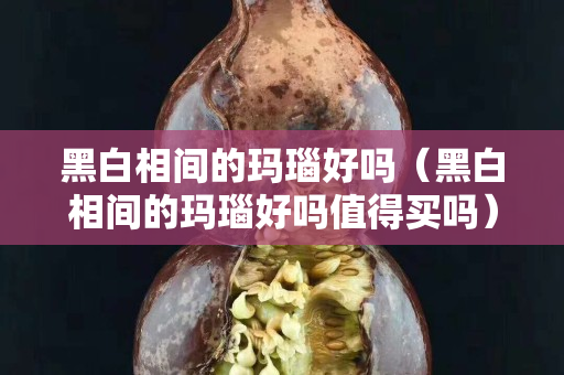 黑白相间的玛瑙好吗（黑白相间的玛瑙好吗值得买吗）