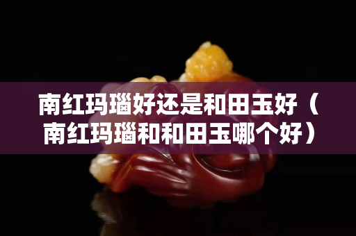 南红玛瑙好还是和田玉好（南红玛瑙和和田玉哪个好）