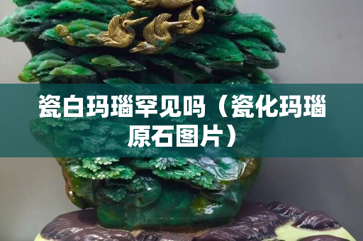 瓷白玛瑙罕见吗（瓷化玛瑙原石图片）