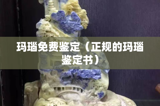 玛瑙免费鉴定（正规的玛瑙鉴定书）