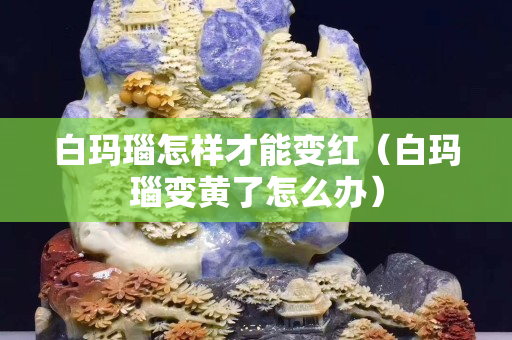 白玛瑙怎样才能变红（白玛瑙变黄了怎么办）