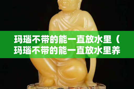 玛瑙不带的能一直放水里（玛瑙不带的能一直放水里养吗）