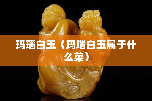玛瑙白玉（玛瑙白玉属于什么菜）