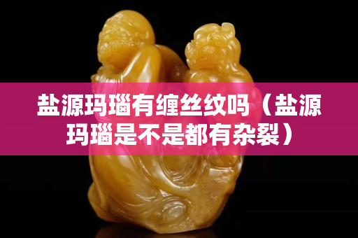 盐源玛瑙有缠丝纹吗（盐源玛瑙是不是都有杂裂）