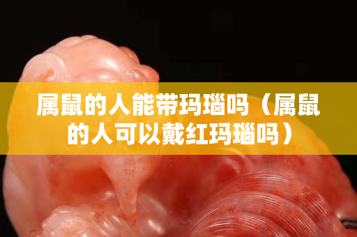 属鼠的人能带玛瑙吗（属鼠的人可以戴红玛瑙吗）