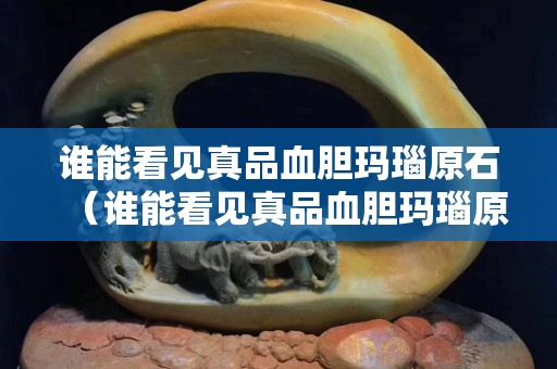 谁能看见真品血胆玛瑙原石（谁能看见真品血胆玛瑙原石的真假）