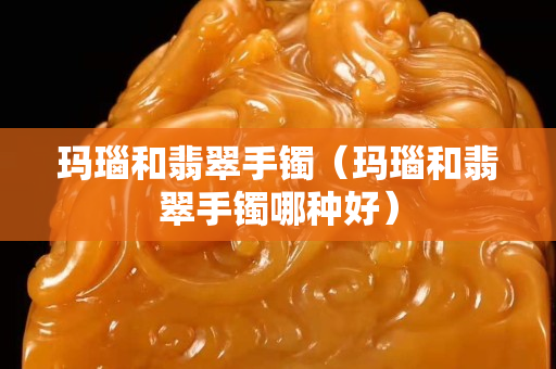玛瑙和翡翠手镯（玛瑙和翡翠手镯哪种好）