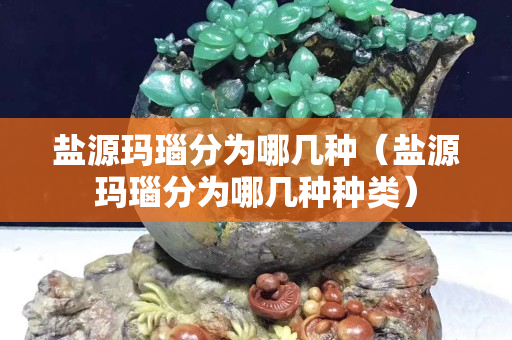 盐源玛瑙分为哪几种（盐源玛瑙分为哪几种种类）