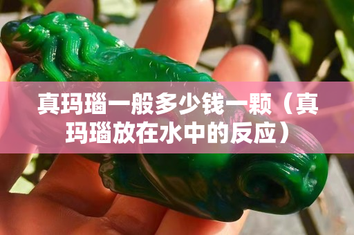 真玛瑙一般多少钱一颗（真玛瑙放在水中的反应）