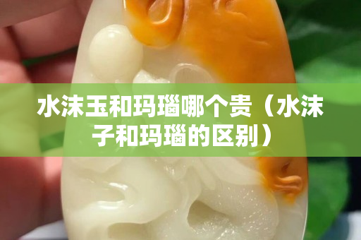 水沫玉和玛瑙哪个贵（水沫子和玛瑙的区别）