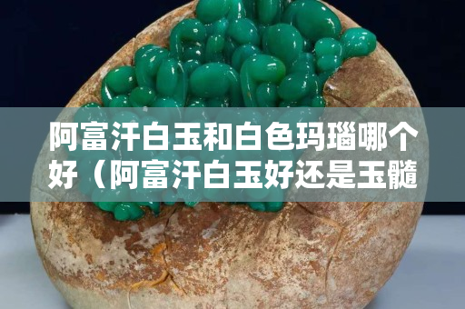 阿富汗白玉和白色玛瑙哪个好（阿富汗白玉好还是玉髓好）