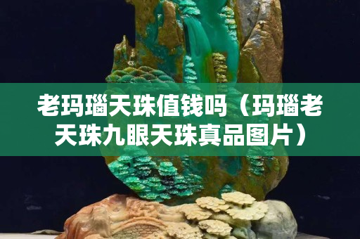 老玛瑙天珠值钱吗（玛瑙老天珠九眼天珠真品图片）