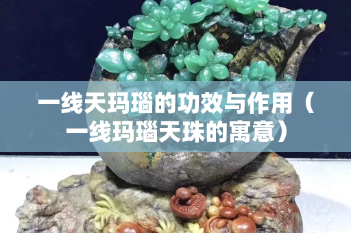 一线天玛瑙的功效与作用（一线玛瑙天珠的寓意）