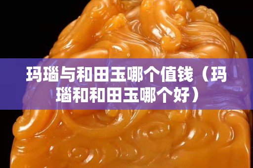 玛瑙与和田玉哪个值钱（玛瑙和和田玉哪个好）