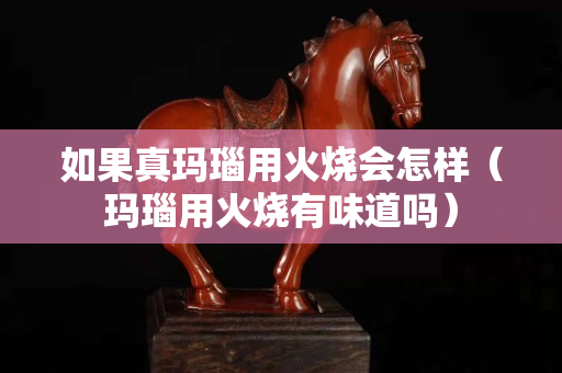 如果真玛瑙用火烧会怎样（玛瑙用火烧有味道吗）