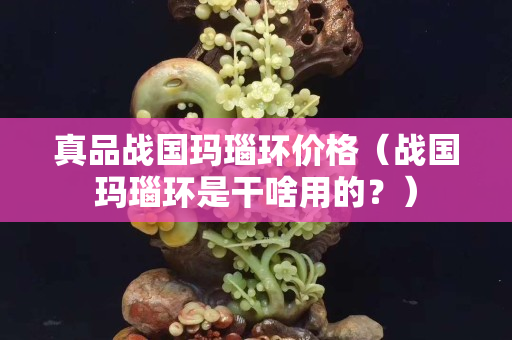 真品战国玛瑙环价格（战国玛瑙环是干啥用的？）